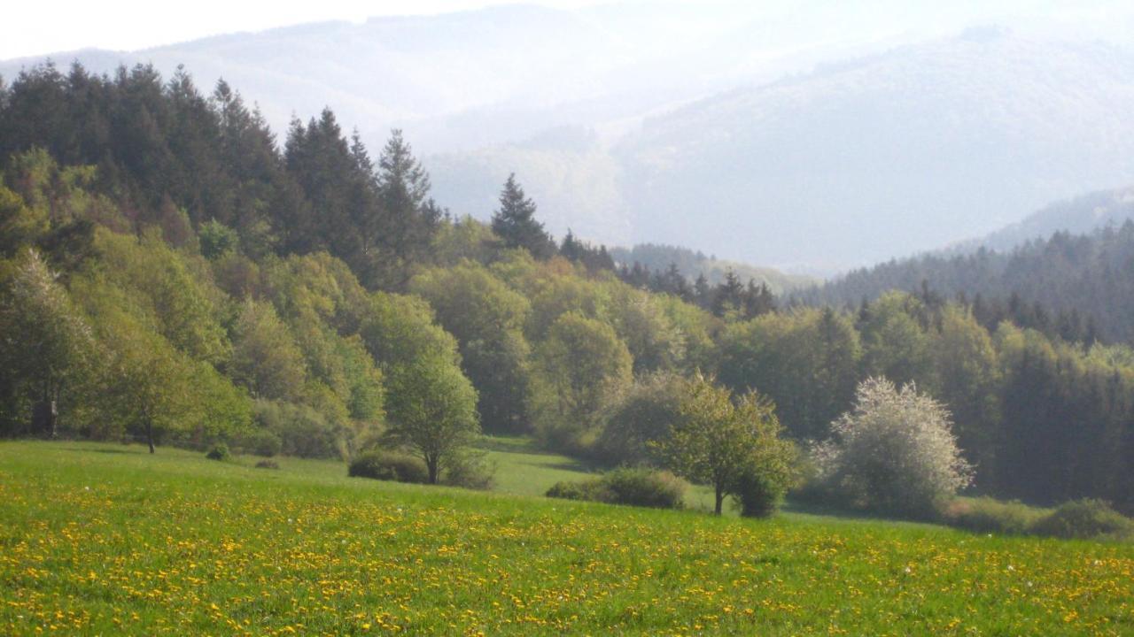 Appartment Merle Wimbach Bagian luar foto