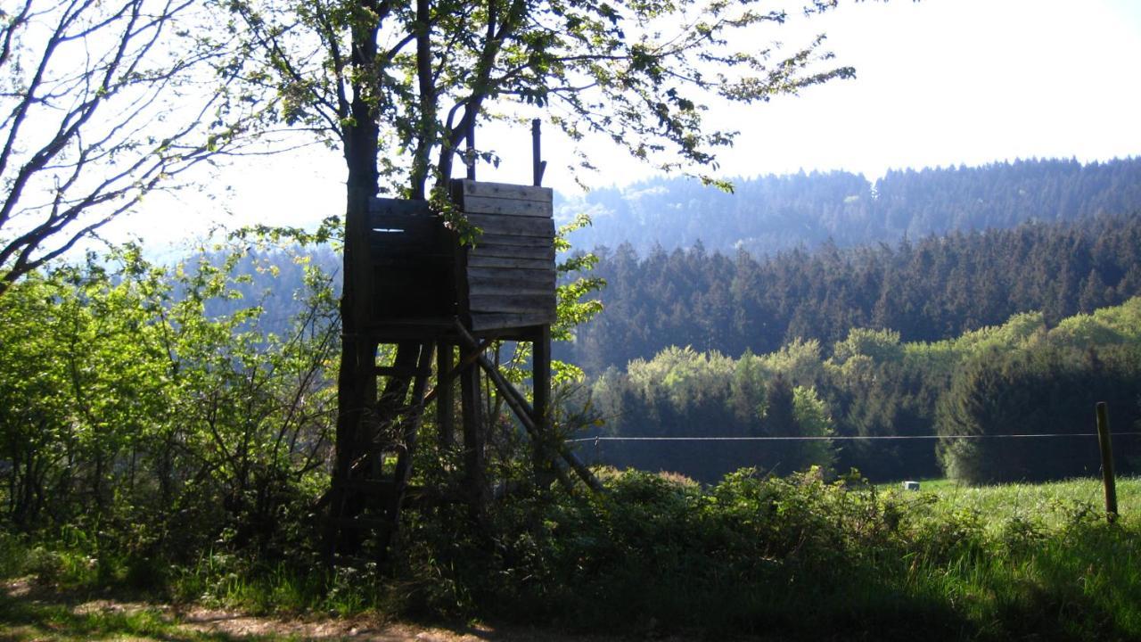 Appartment Merle Wimbach Bagian luar foto